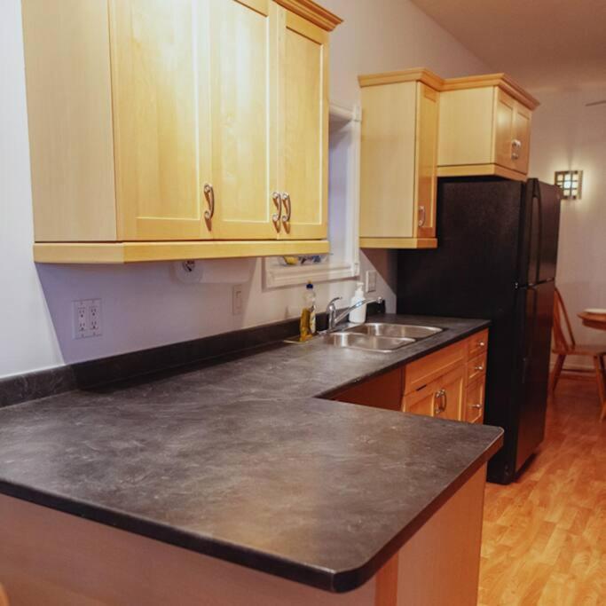 Large Upstairs Flat In Downtown Century Building Belleville Exterior foto